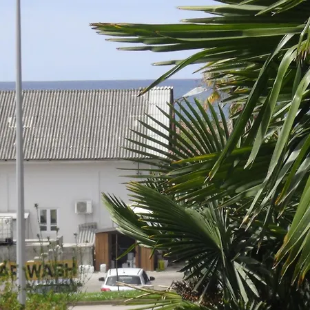 Apartman Maja - 170m Od Plaze Poreč