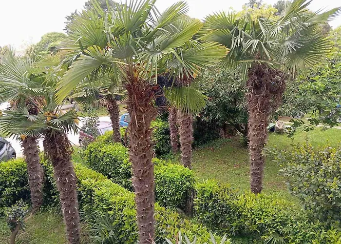 Maja - 170m Od Plaze Apartman Poreč