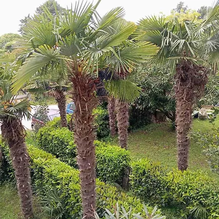 Maja - 170m Od Plaze Apartment Porec