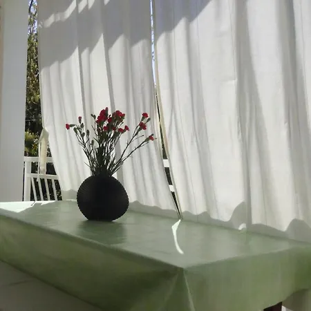 Apartman Maja - 170m Od Plaze Porec